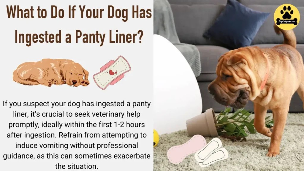 Dog Ate Panty Liner Navigating Toxins and Ensuring Safety