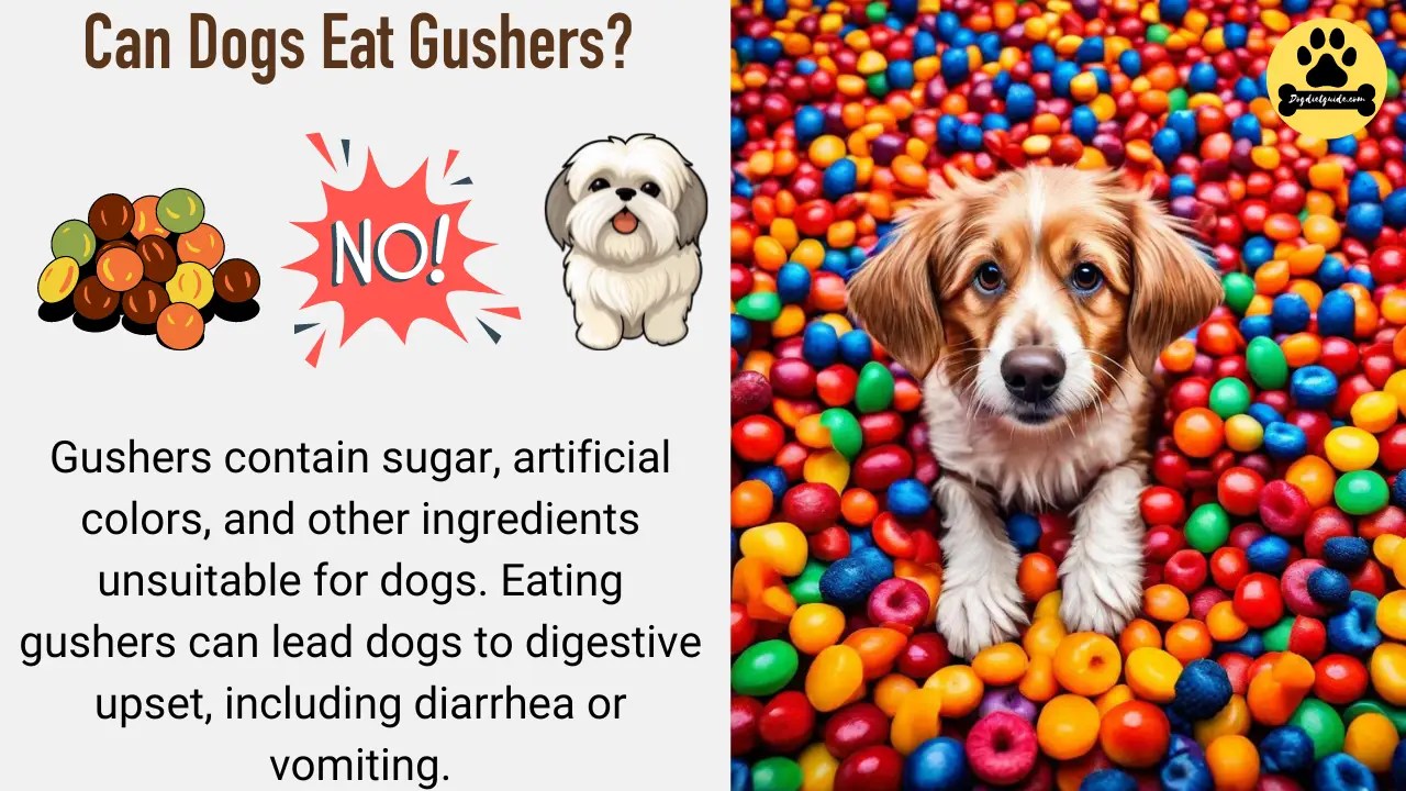 Can Dogs Eat Gushers? (No) Health Risks Explained