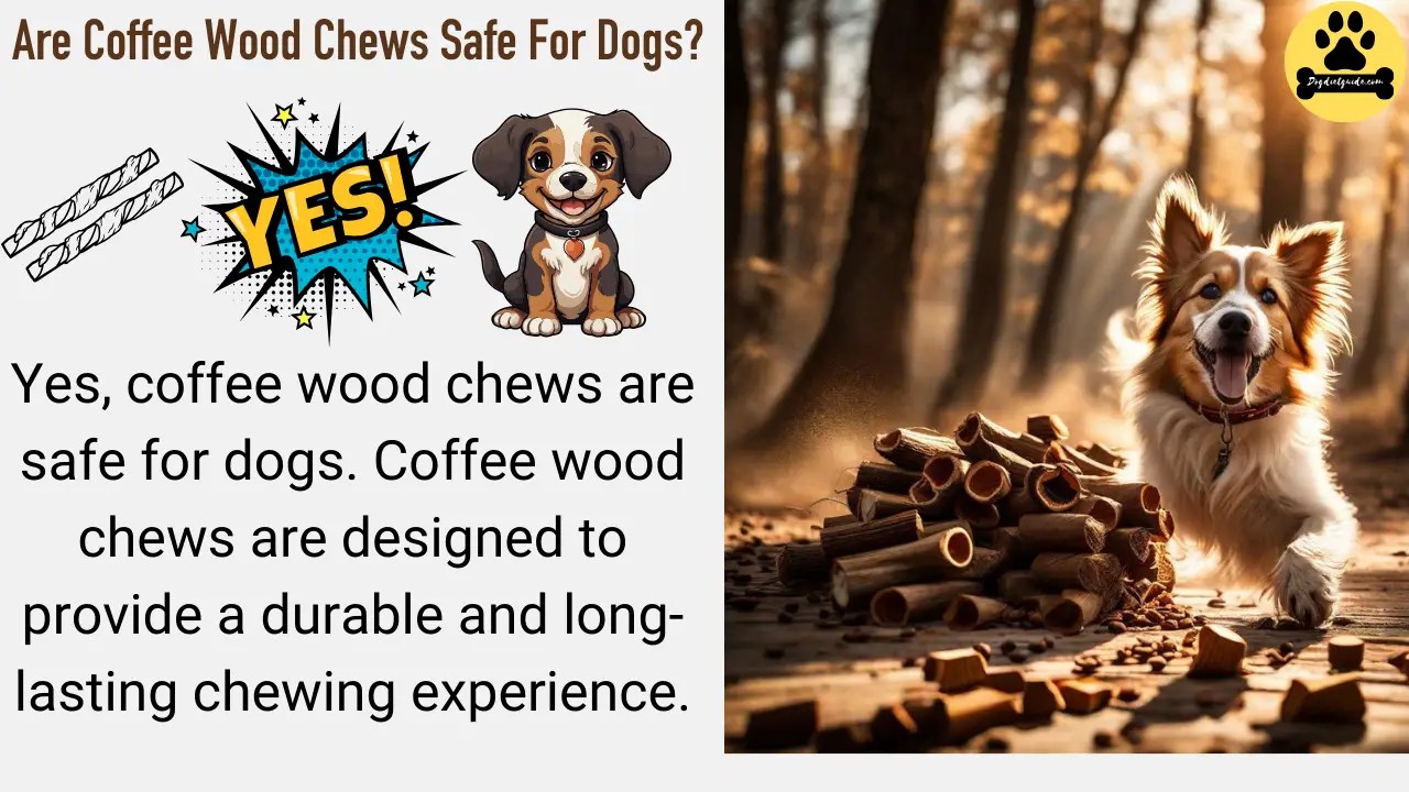 Are Coffee Wood Chews Safe For Dogs? Benefits, Risks