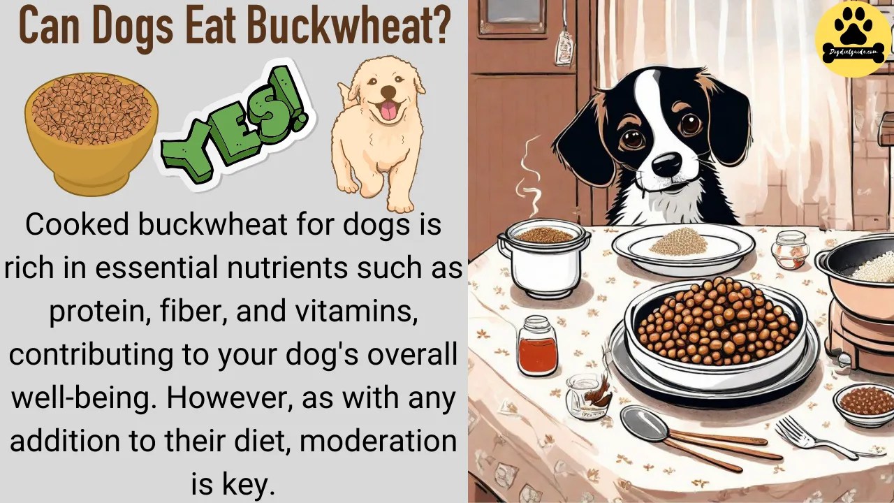 Can Dogs Eat Buckwheat? Benefits, Risks & Serving Tips