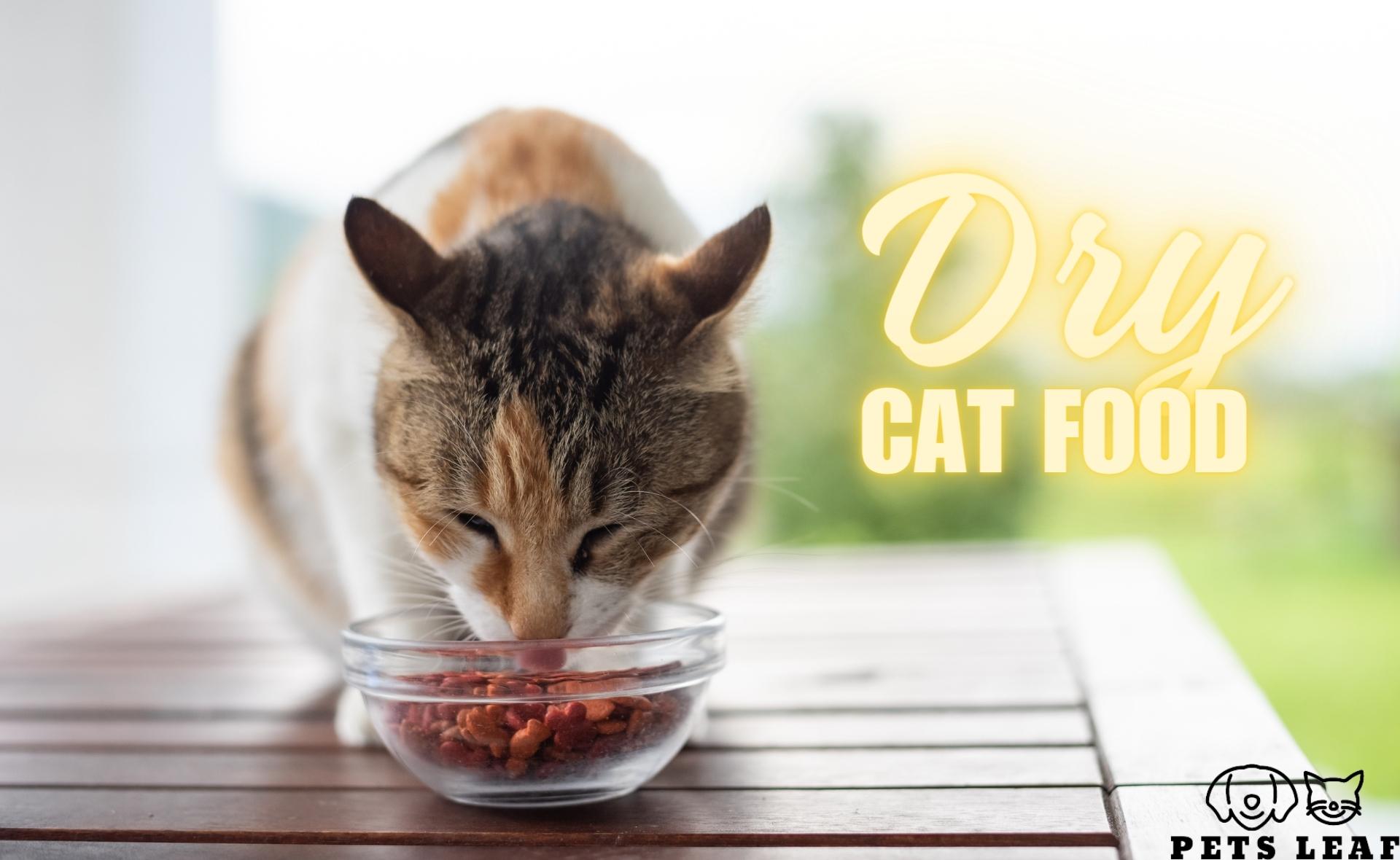 Dry Cat Food Pros & Cons, Benefits, And Top Products Pets Leaf