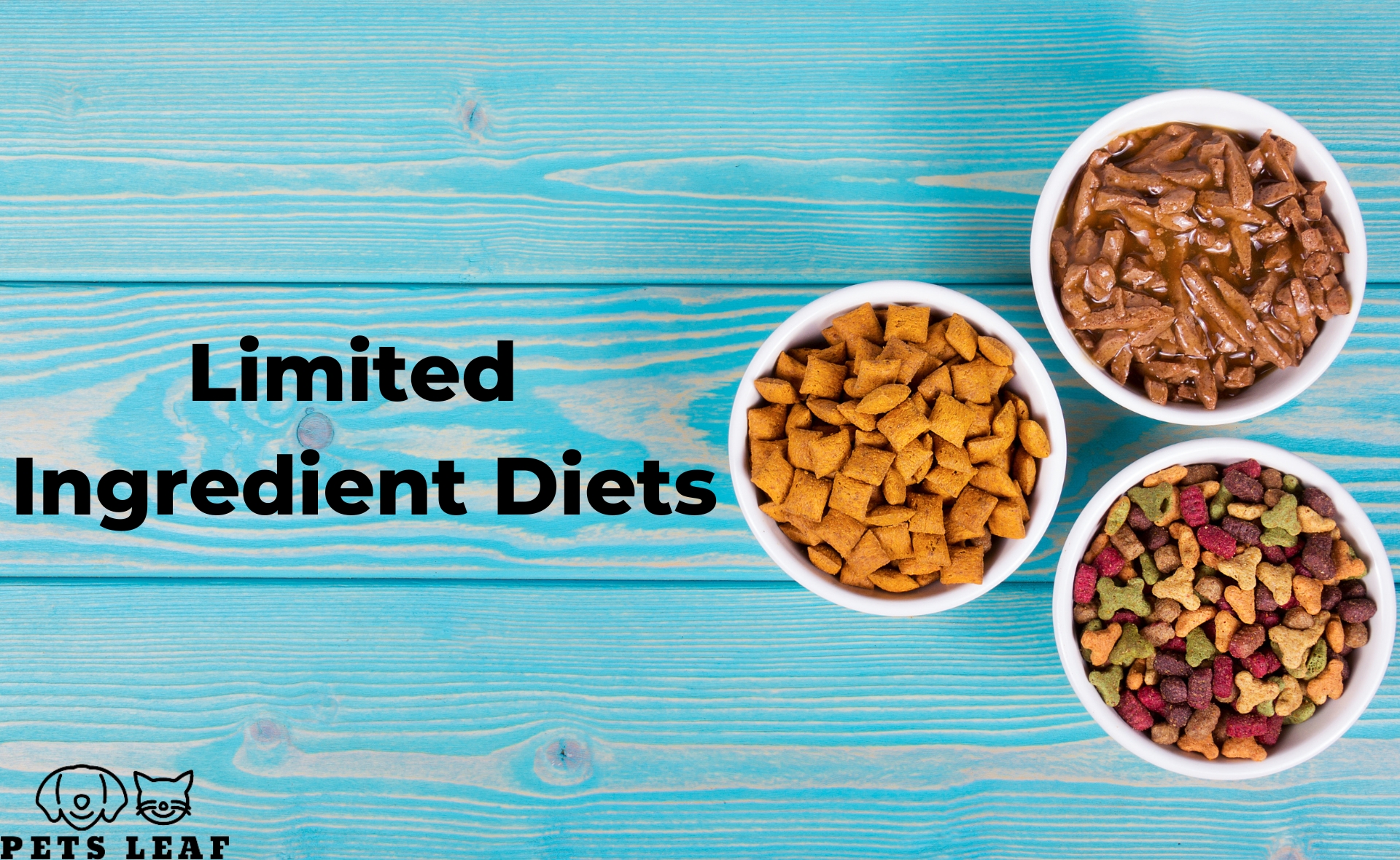 Wet Cat Food Benefits, Top Products, And Tips Pets Leaf