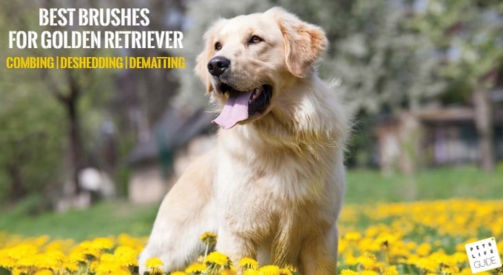 best deshedding tool for golden retrievers