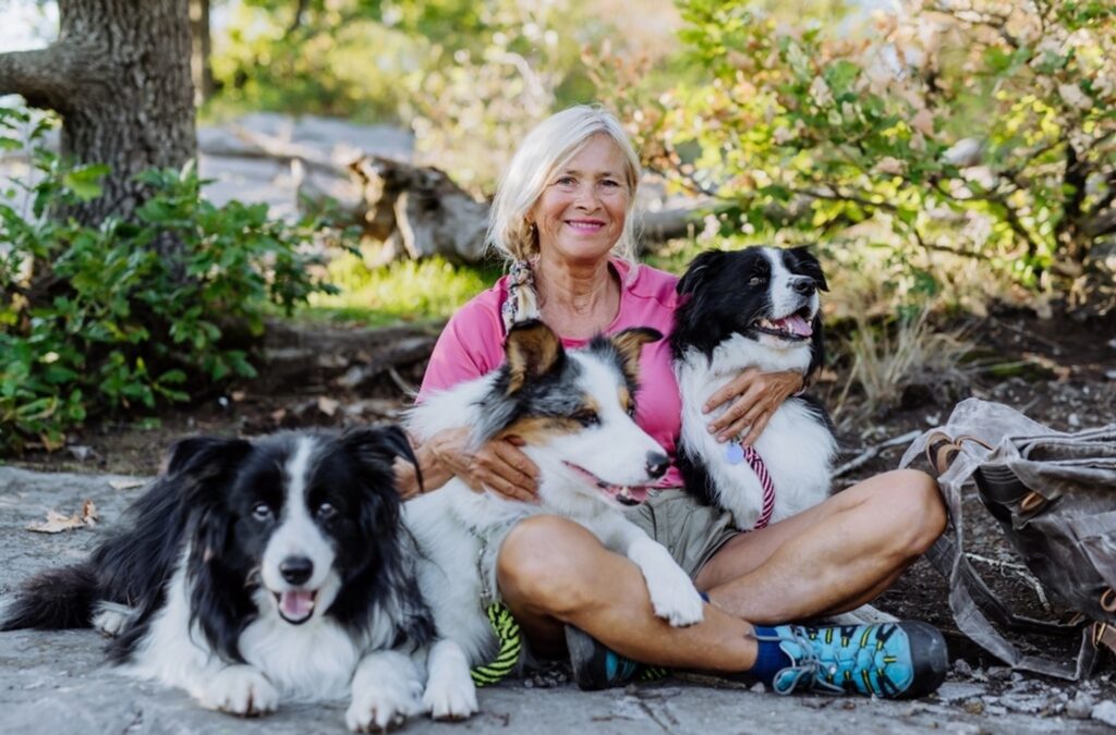 The Benefits of PetSmart Insurance for Your Pet Petsmartgo