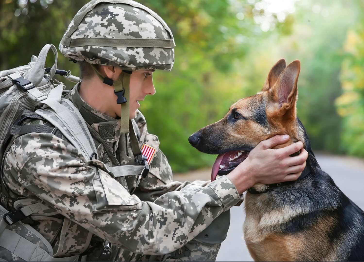 PetSmart Military Discount A Special Way to Show Appreciation