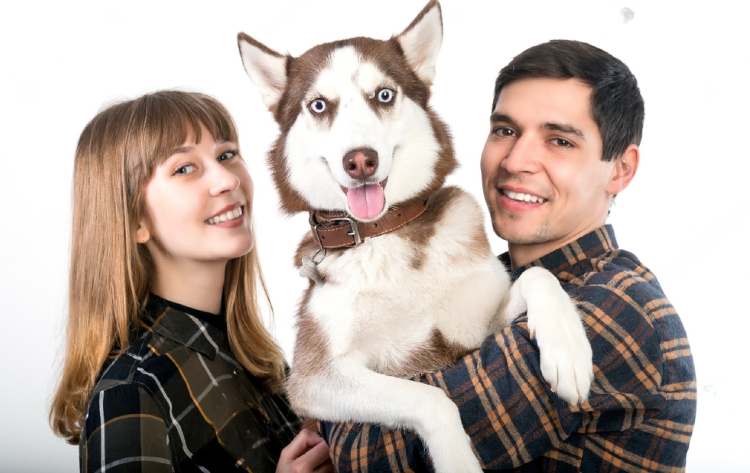 How to Train Your Dog Not to Bark Petsmartgo