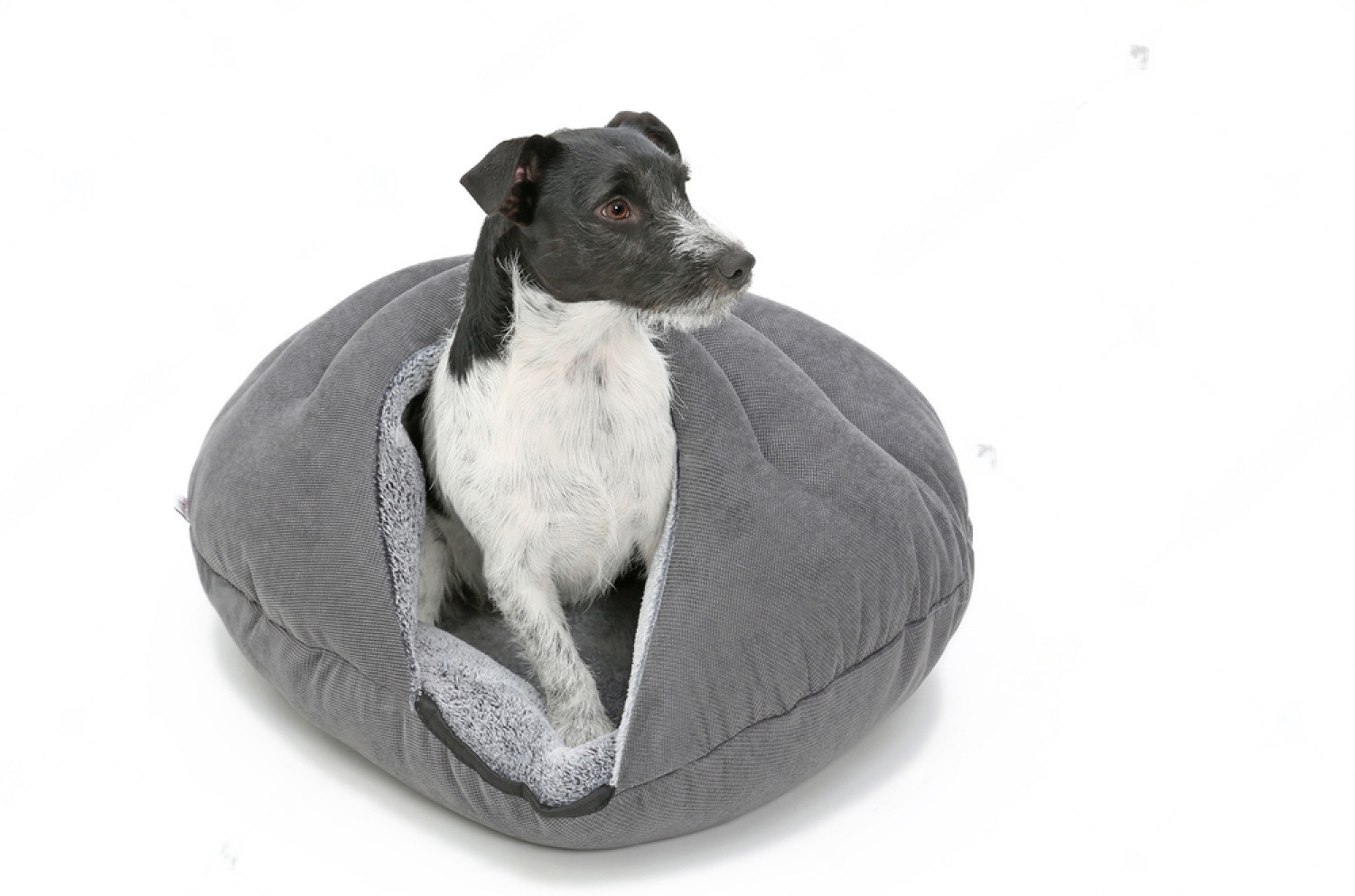 Petsmart Dog Beds Orthopedic Petsmartgo