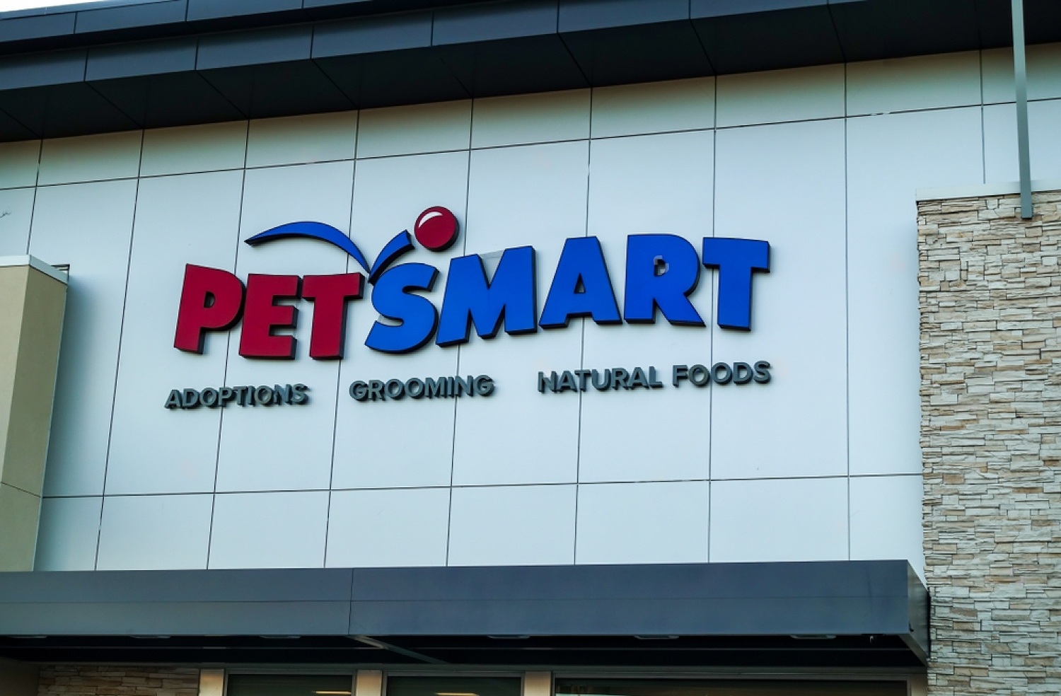 Everything You Need To Know About Petsmart Dog Food Petsmartgo