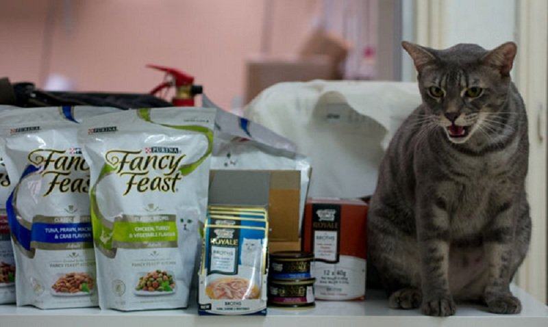 Is Fancy Feast Good For Cats? The Answer Might Surprise You!