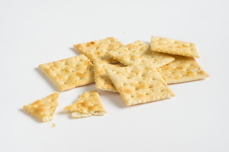 Can Dogs Eat Crackers? Is it Safe? » Petsoid