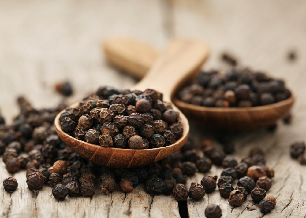 Is Black Pepper Bad for Dogs? » Petsoid