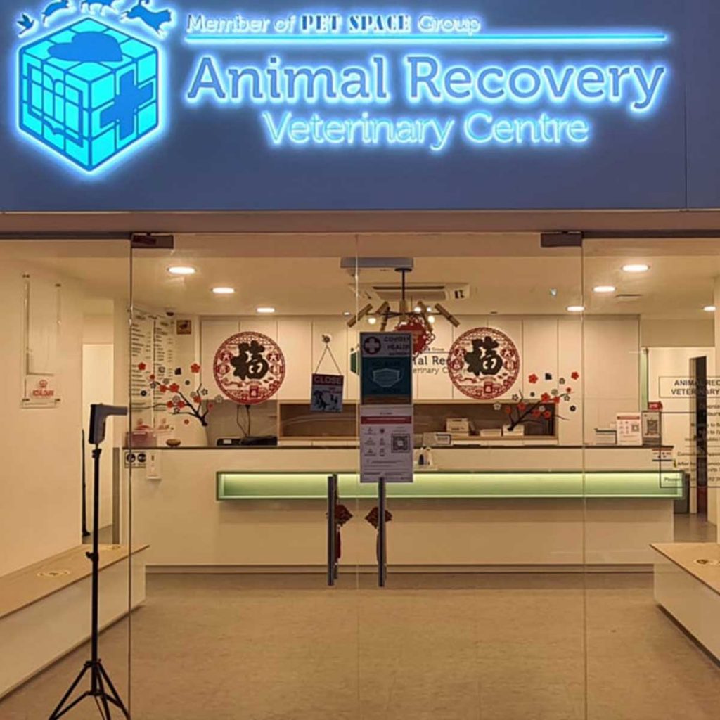 About Us Hong Kong's Largest Veterinary Group Pet Space
