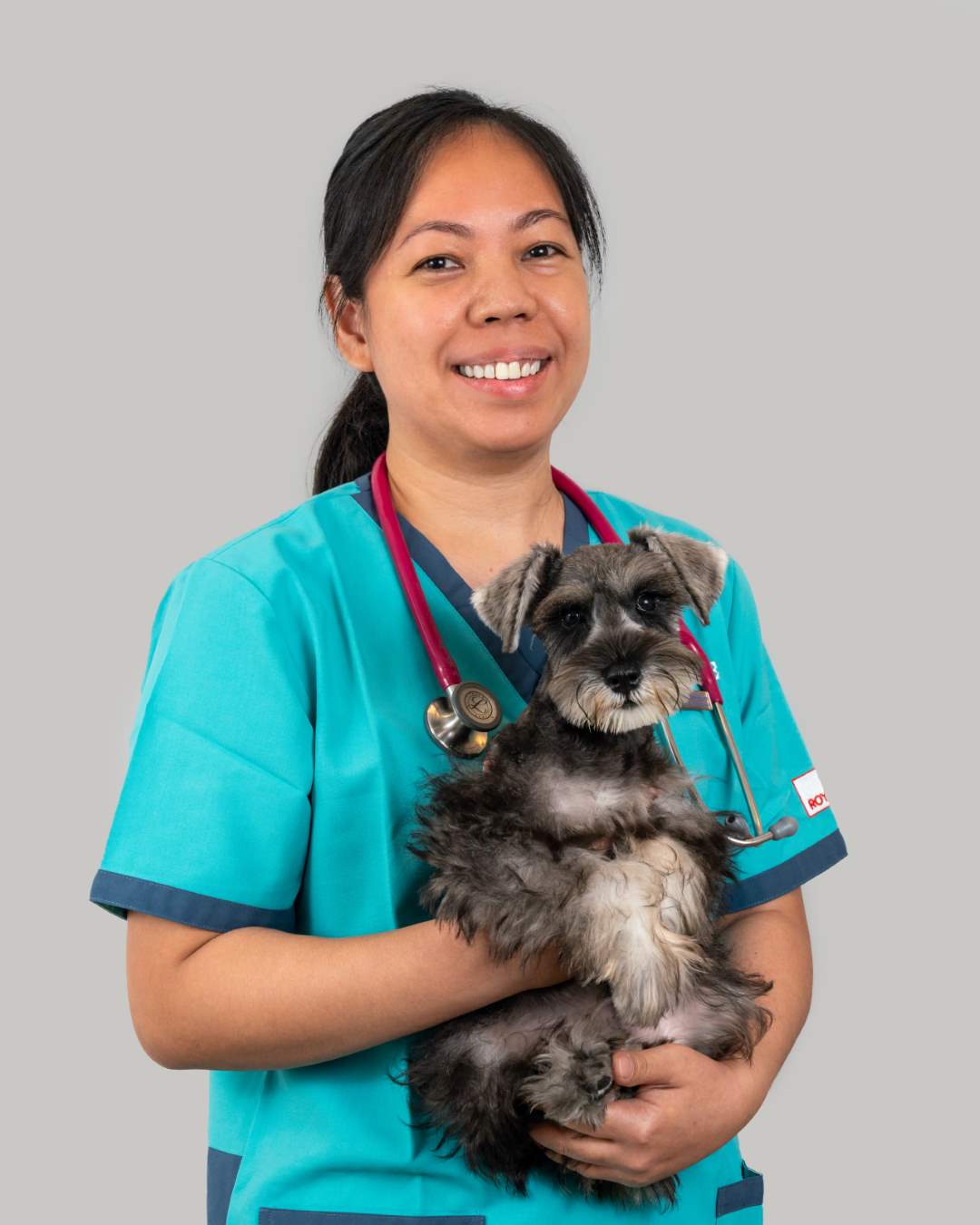 Our Vets Pet Space Central Vet Surgery Pet Space