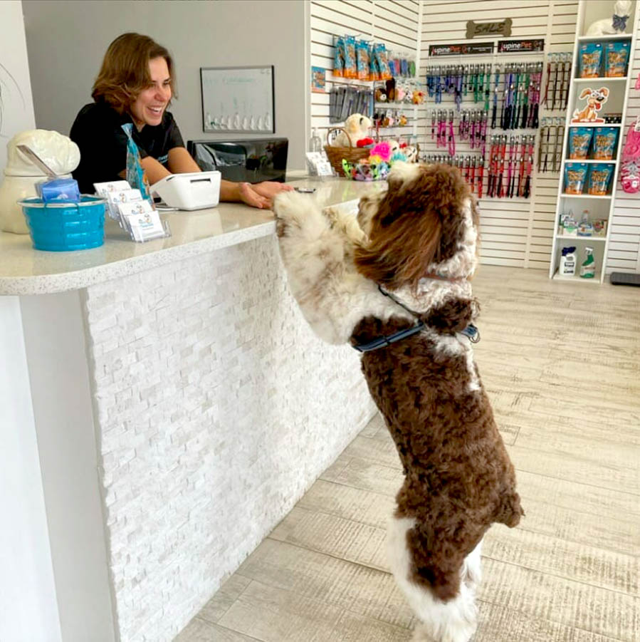 How Long Is Dog Grooming School