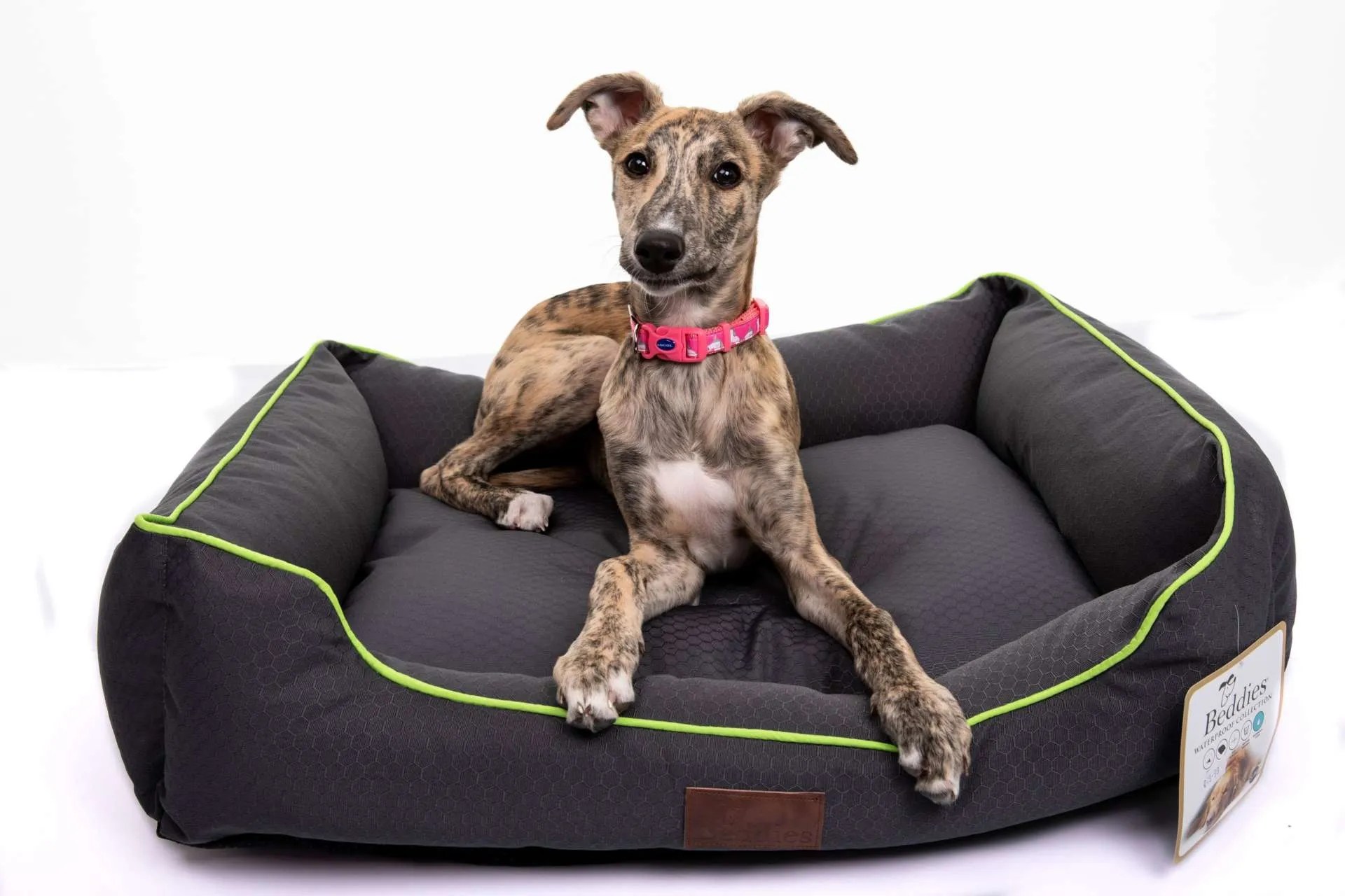 Beddies Grey Waterproof Dog Bed Pets Plus