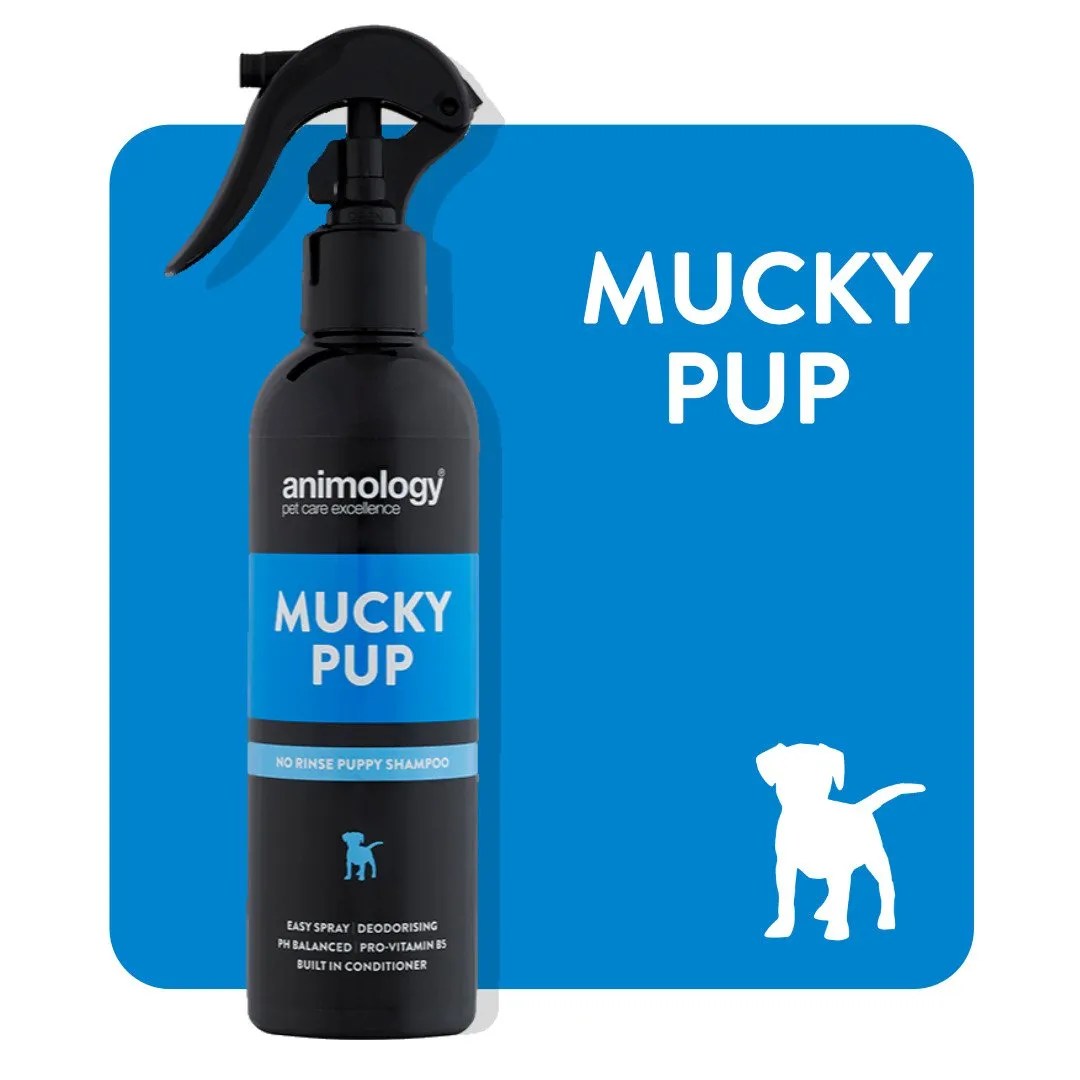 Animology Mucky Pup No Rinse Spray 250ML Pets Plus Pet Shop Cork