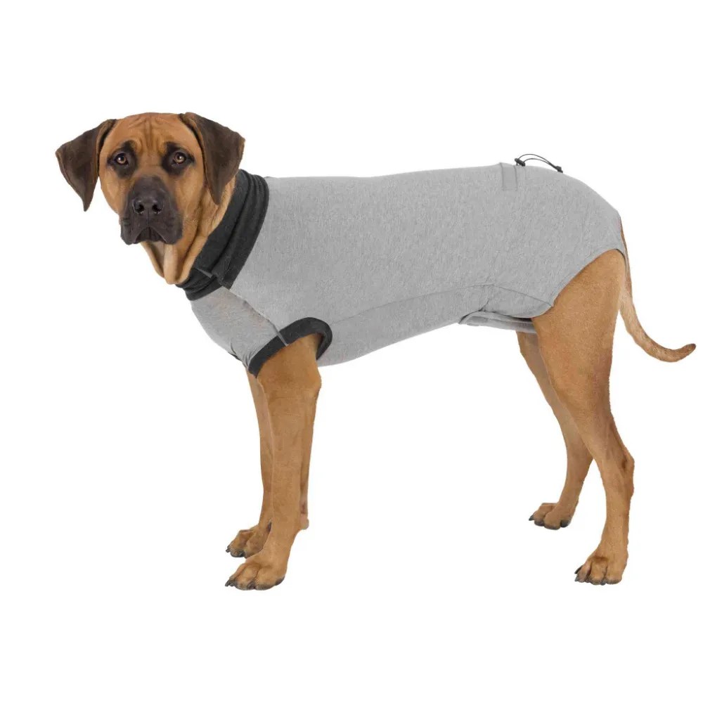 Trixie Dog Post Surgery Suit Pets Plus Pet Shop Cork