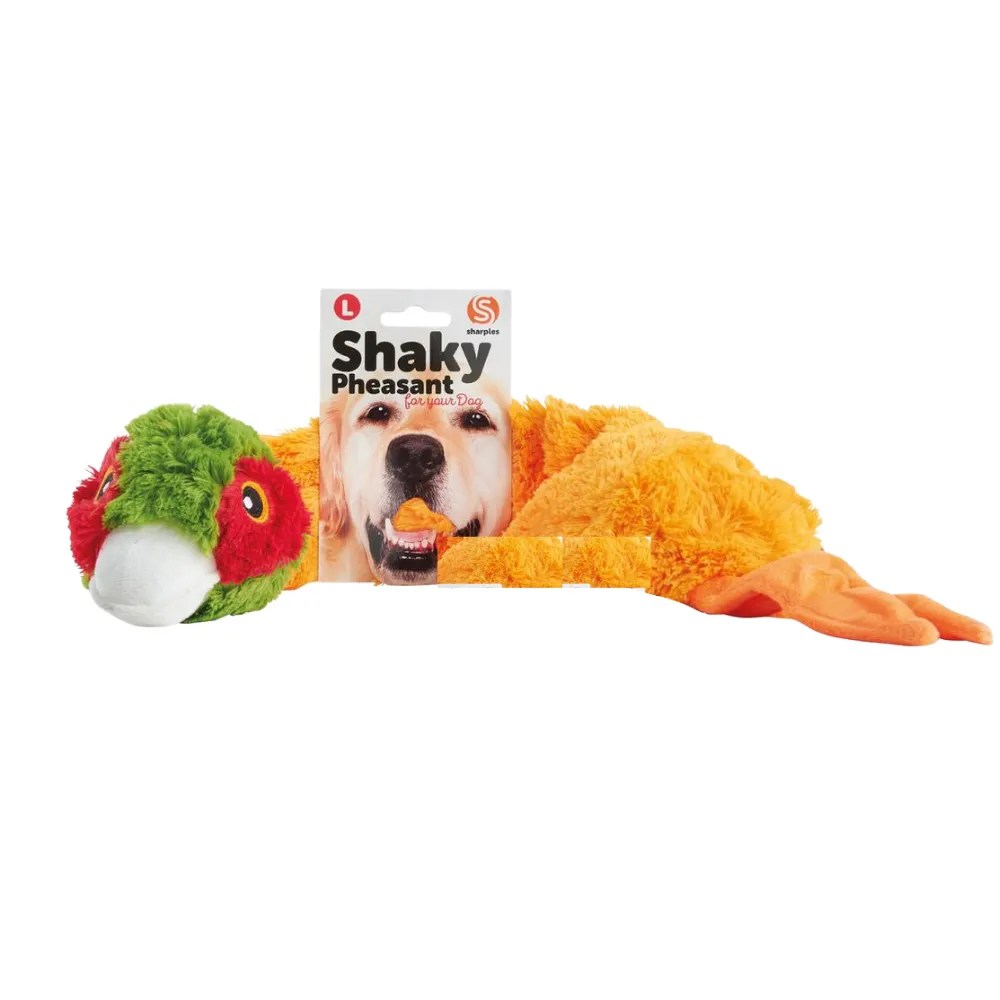 Why Do Dogs Shake Stuffed Toys