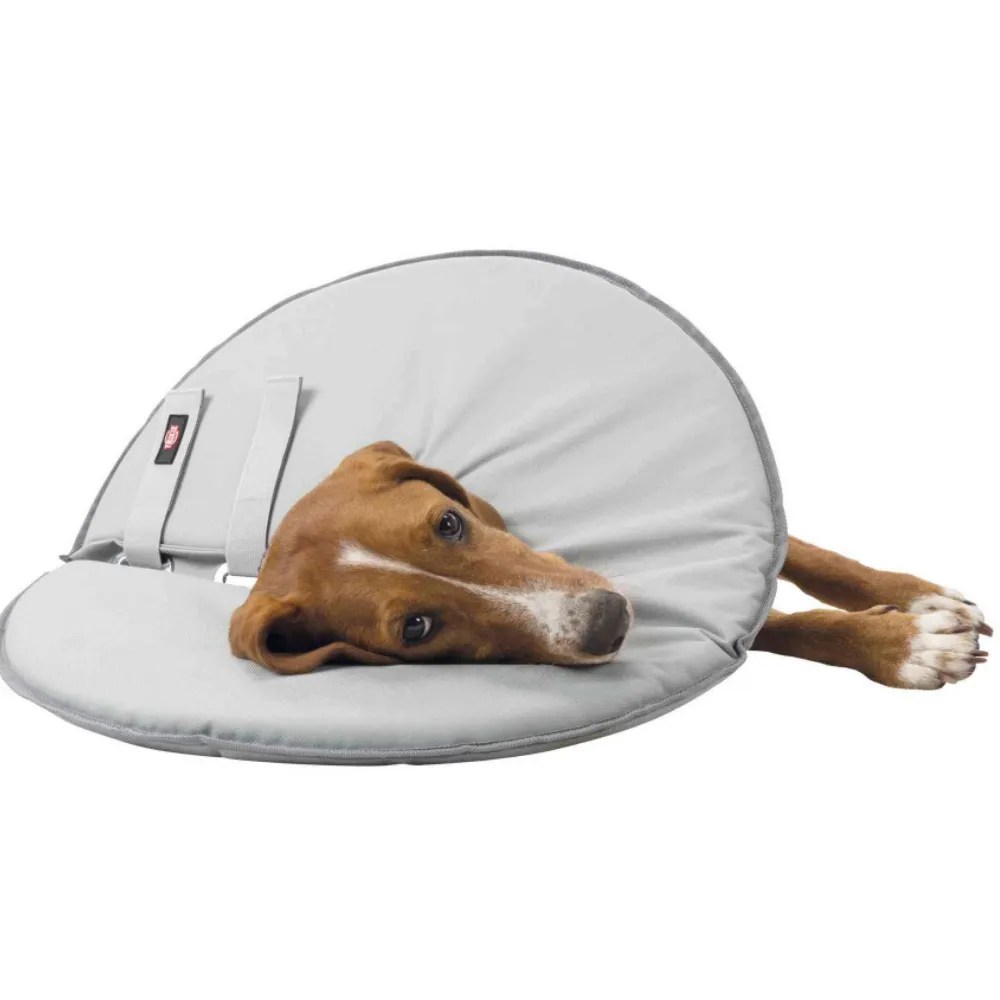 Trixie Protective Post Surgery Dog Collar Pets Plus Pet Shop Cork