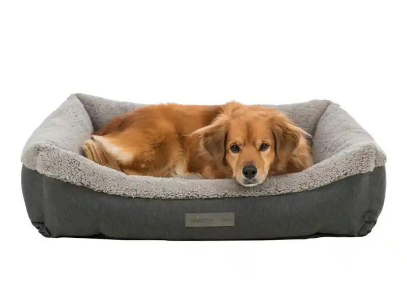 What are the Benefits of Orthopedic Dog Beds Pets Plus