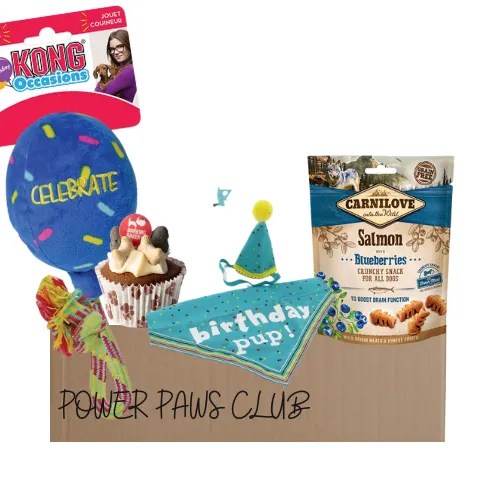 Power Paws Dog Birthday Box Pets Plus Pet Shop Cork