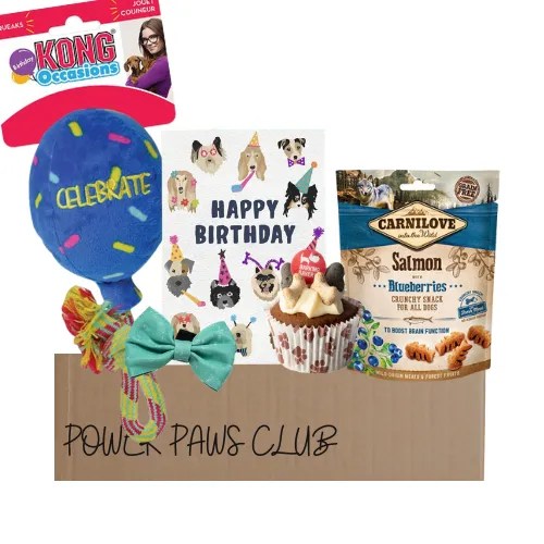 Power Paws Dog Birthday Box Pets Plus Pet Shop Cork