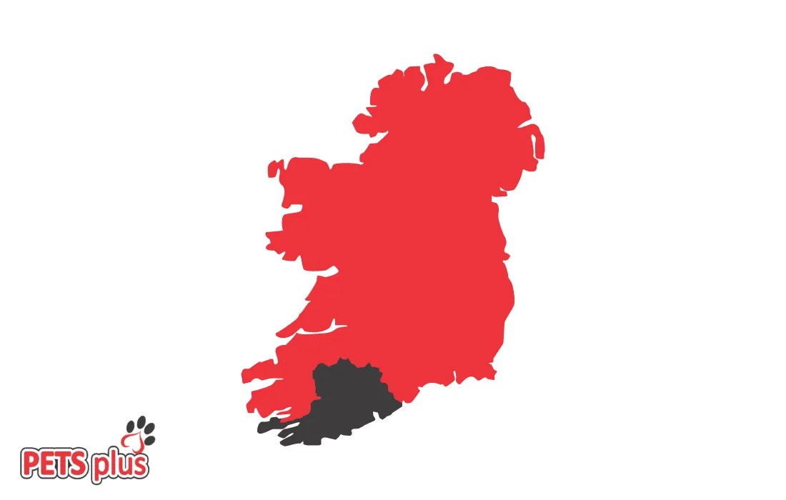 Pet Shop Cork Online Pet Supplies Pets Plus