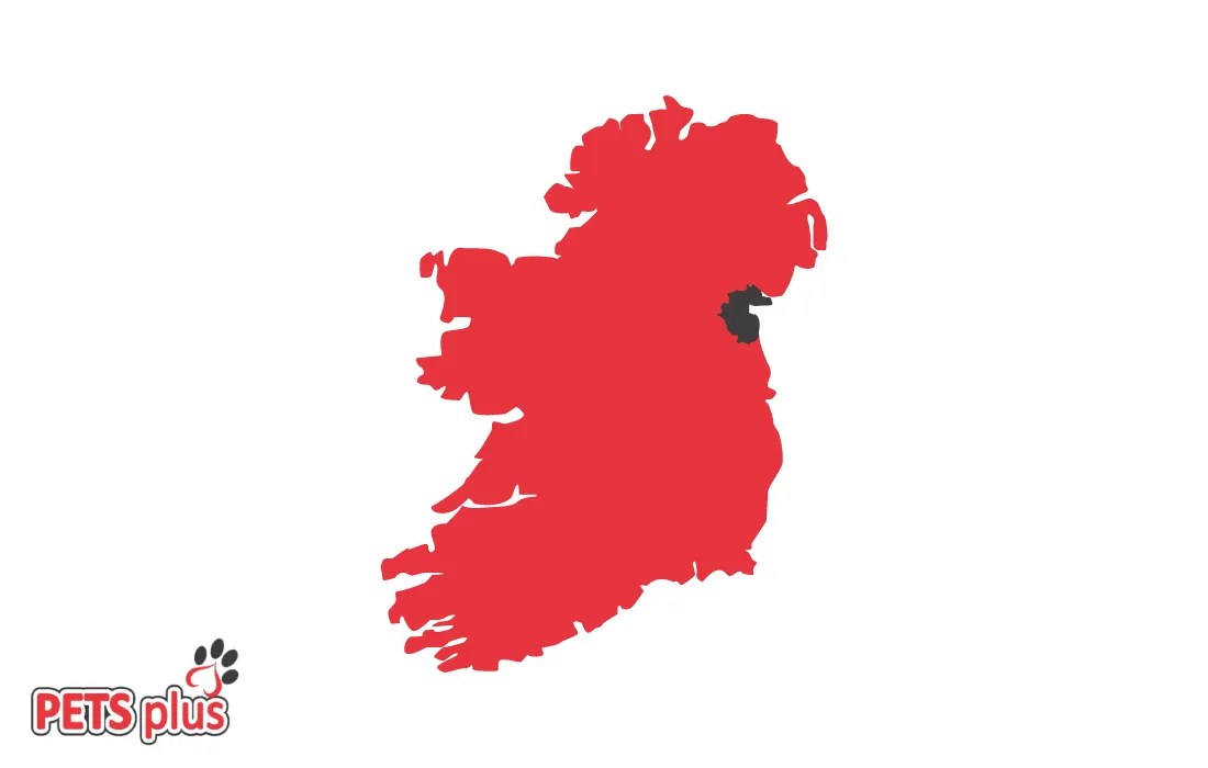 Pet Shop Louth Online Pet Supplies Pets Plus