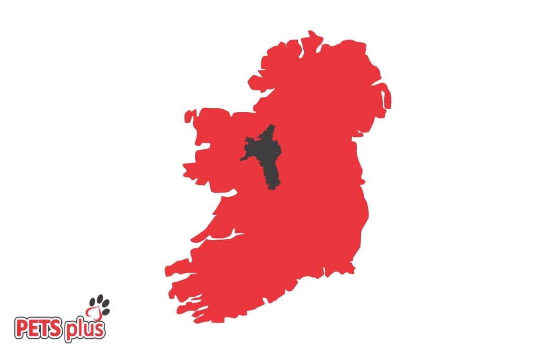 Pet Shop Online Pet Supplies Pets Plus