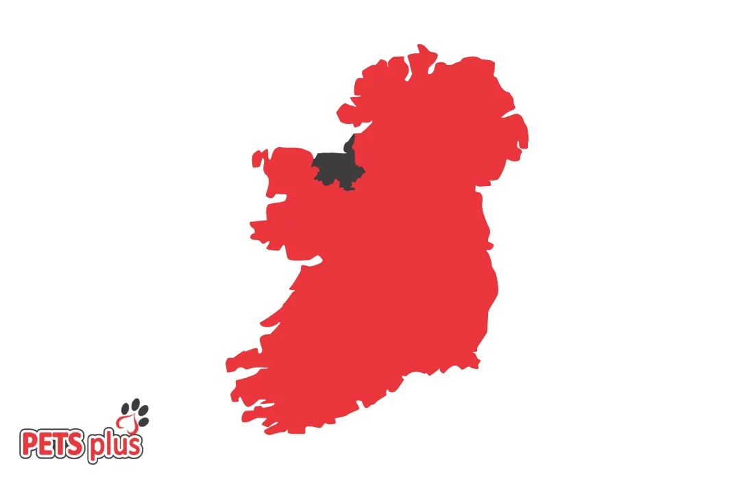 Pet Shop Sligo Online Pet Supplies Pets Plus