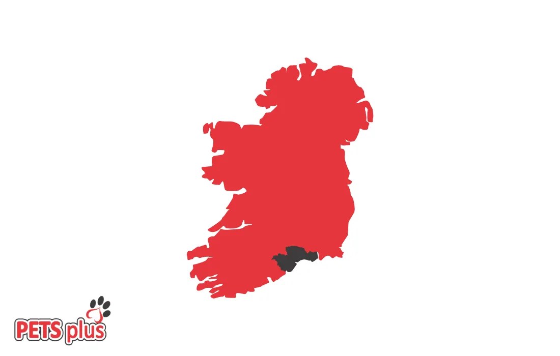 Pet Shop Waterford Online Pet Supplies Pets Plus