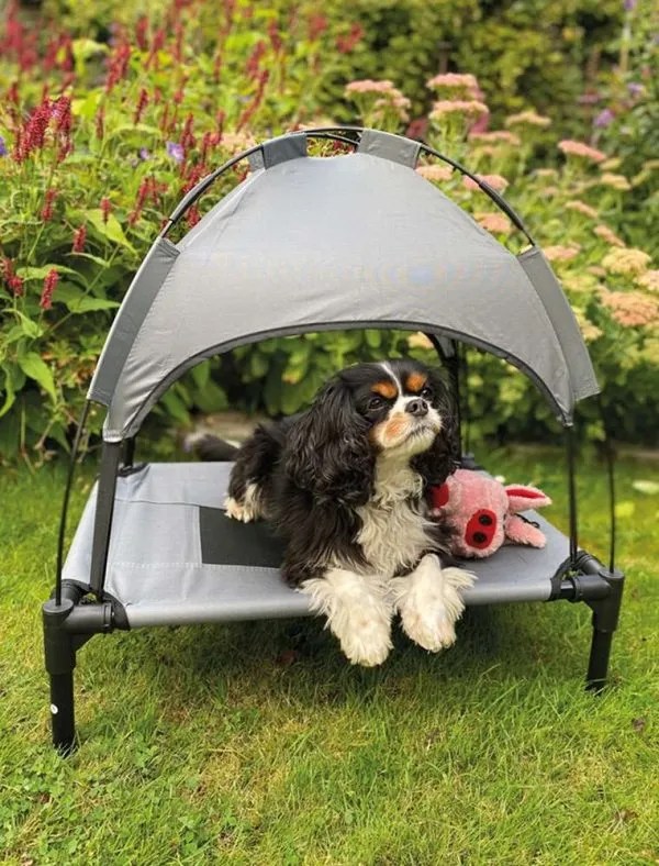 Nobby Elevated Dog Bed & Tent Pets Plus