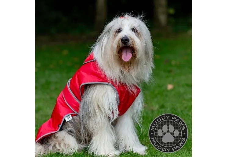 Stormguard Dog Coat Red Pets Plus Pet Shop Cork