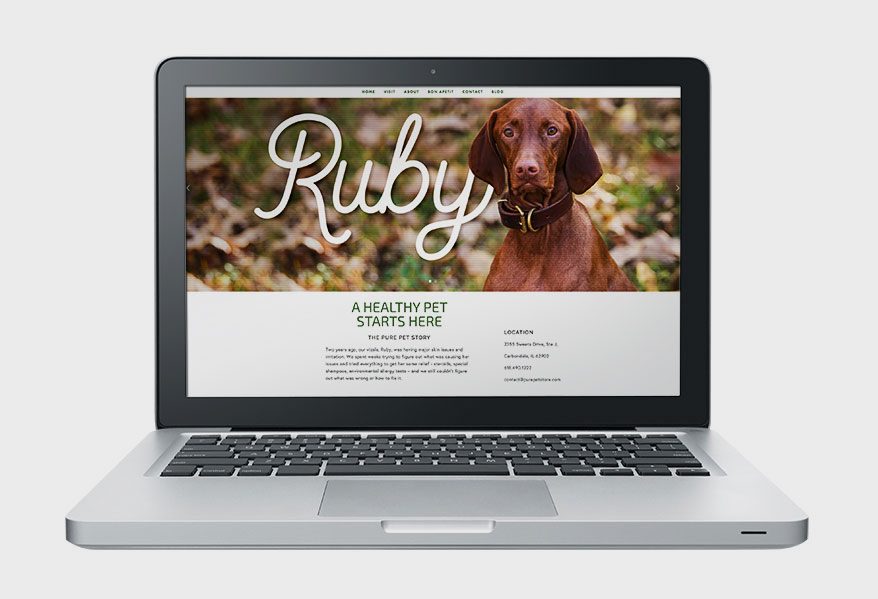 Six Creative "About Us" Pages That Pack a Powerful Promotional Punch