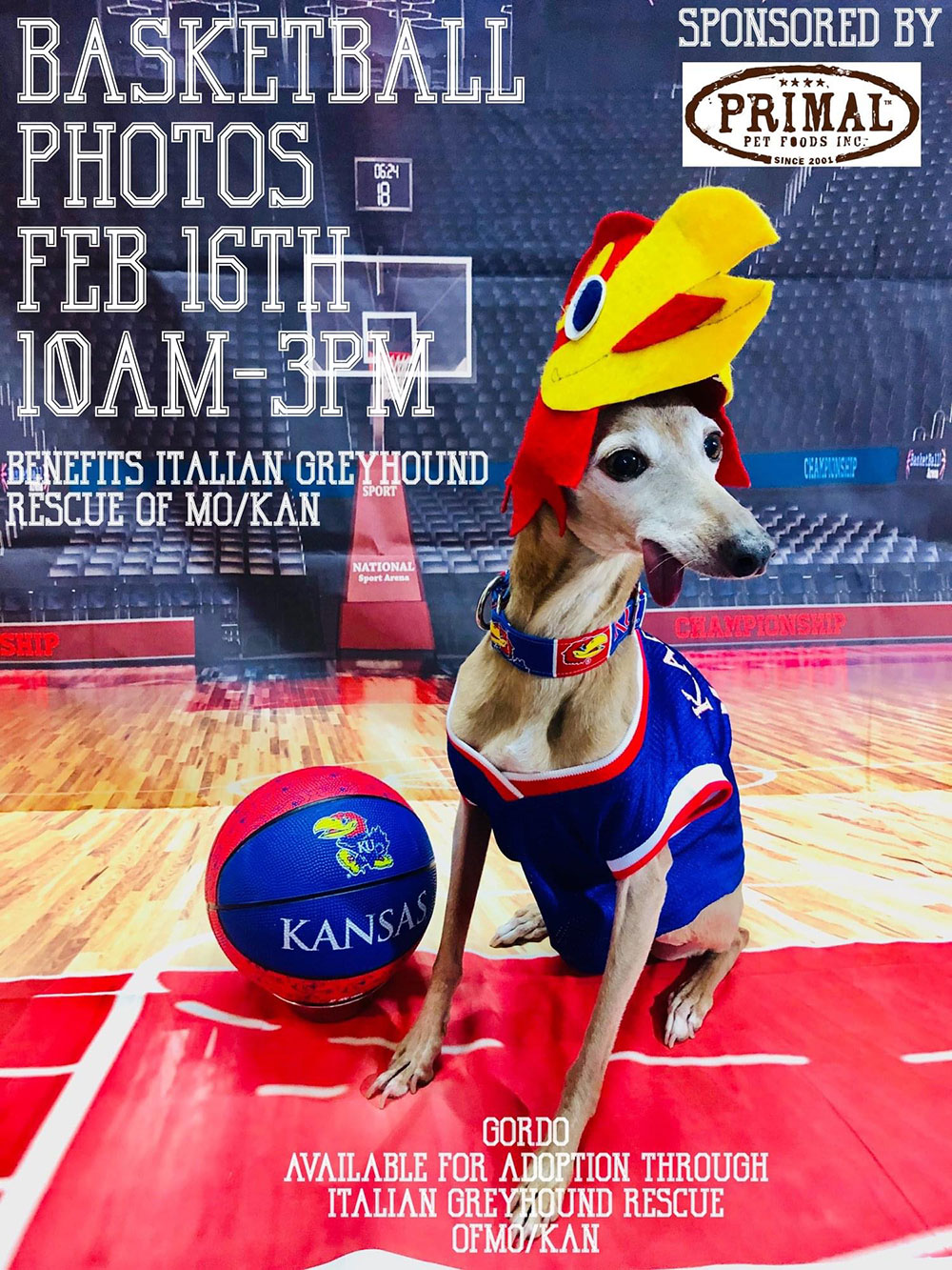 Lucky Dog Pet Grocery & Bakery Uses Fun to Win Hearts and Create Loyalty