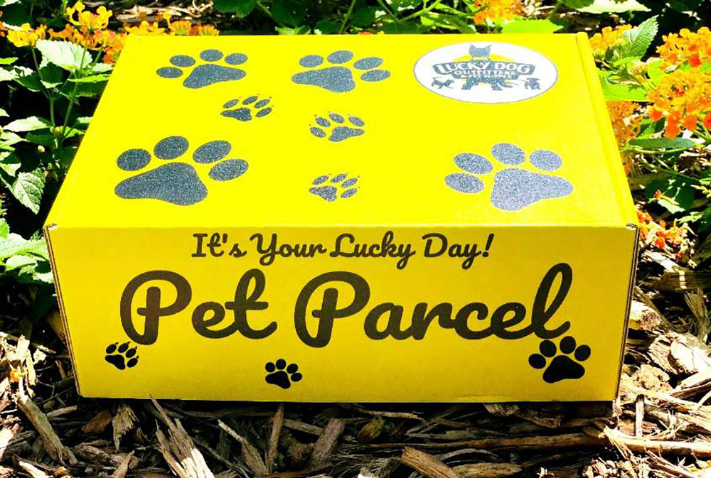 Lucky Dog Pet Grocery & Bakery Uses Fun to Win Hearts and Create Loyalty