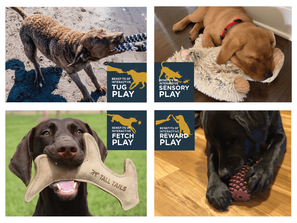 Are Leather Dog Toys Safe