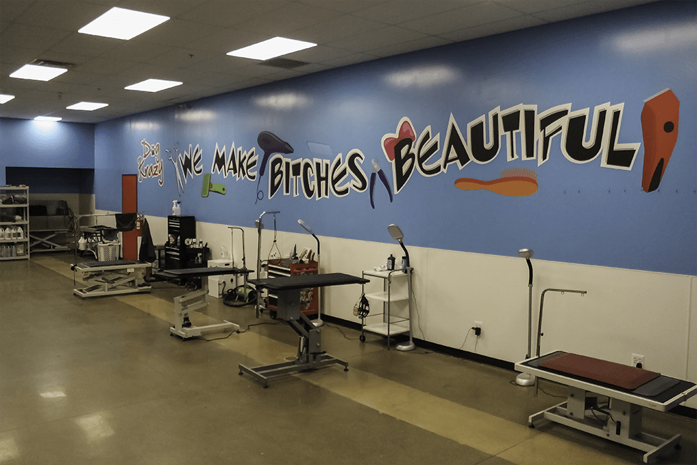 Dog Krazy Offers Virginia Pet Parents an Exceptional Customer