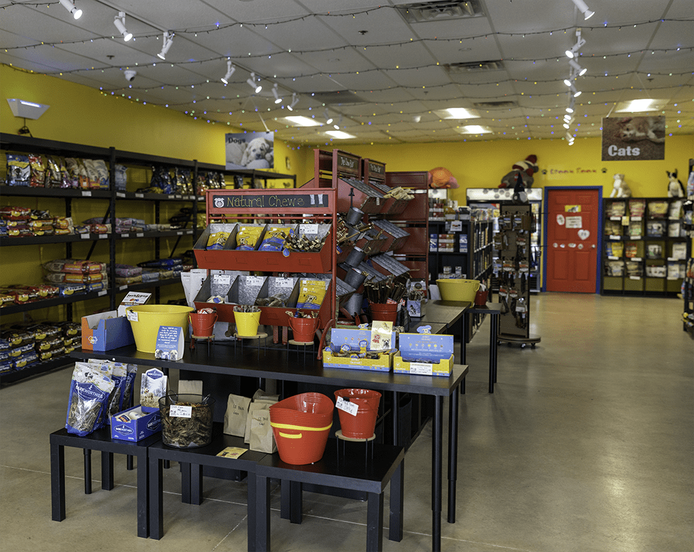 Dog Krazy Offers Virginia Pet Parents an Exceptional Customer