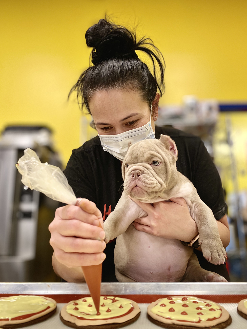 Dog Krazy Offers Virginia Pet Parents an Exceptional Customer