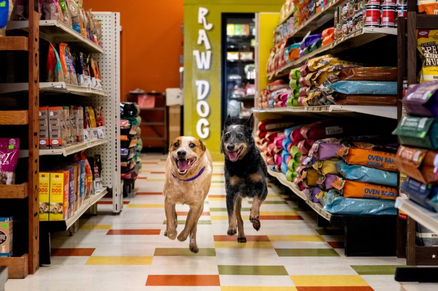 13 Photos That Show Why Healthy Pet Products Is One of America's