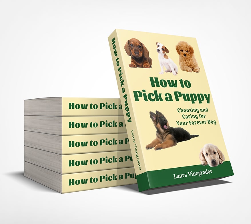 Former Kennel Owner Releases Guide to Picking a Puppy