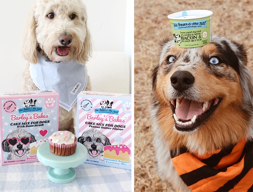 Choice Pet Products Partners with The Bear & The Rat