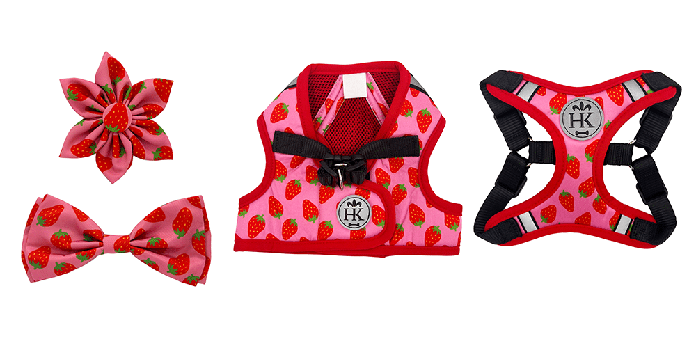Huxley & Kent Launches New Spring 'Strawberries' Style to Wearable Dog