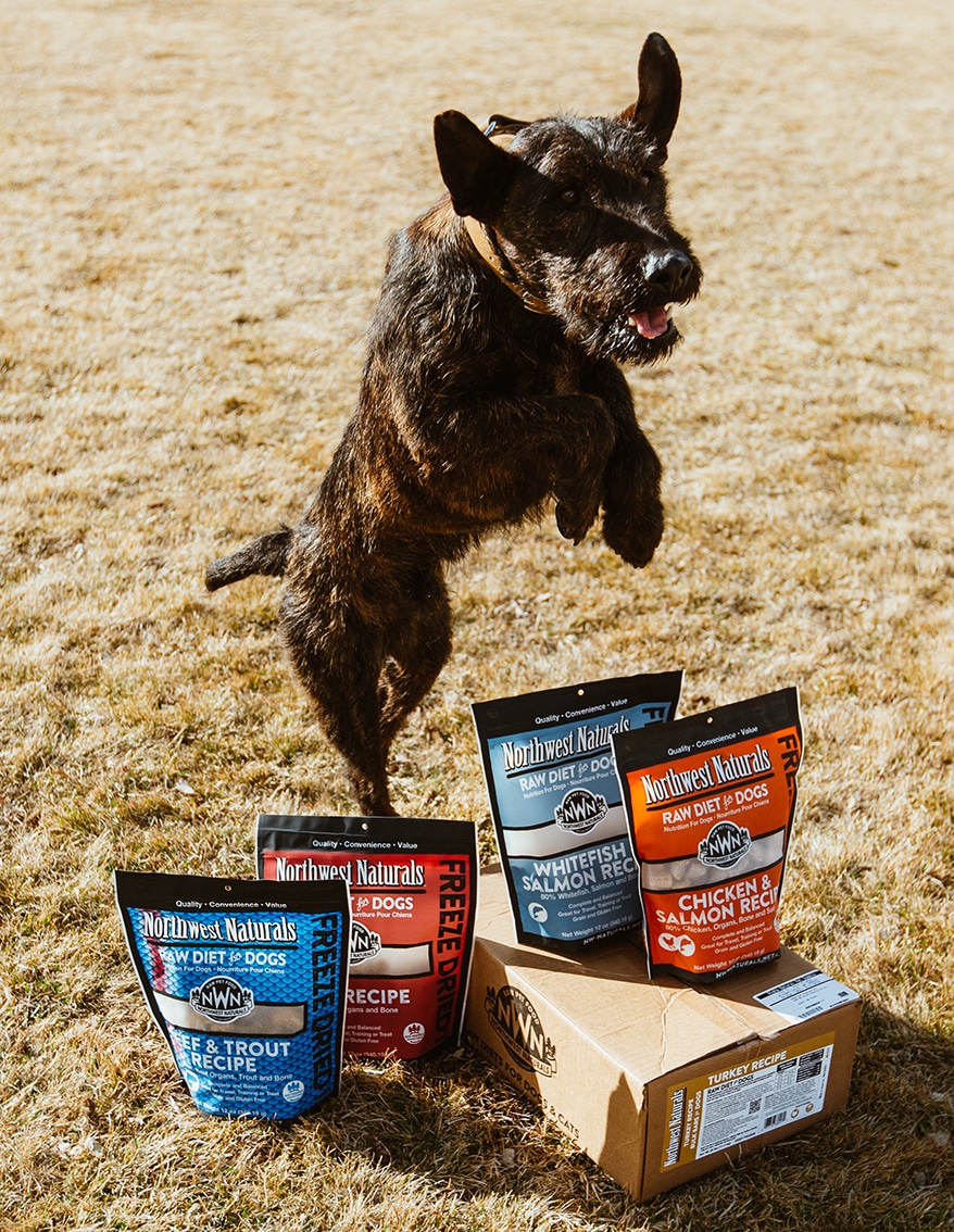 Choice Pet Products Partners With Northwest Naturals