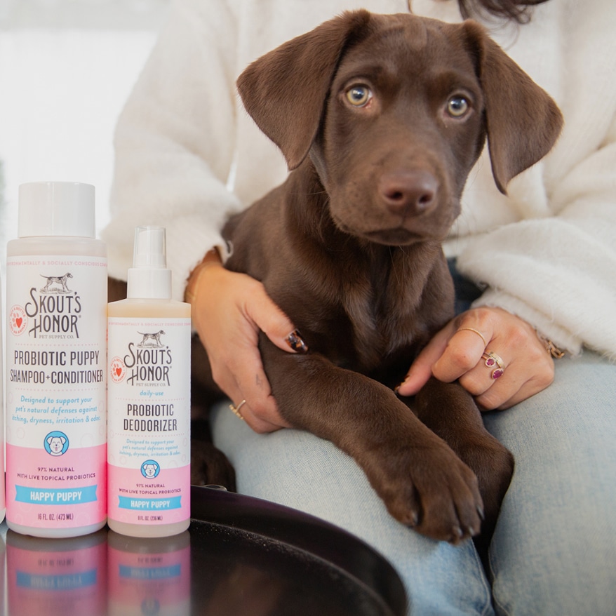 Skout’s Honor “Happy Puppy” Probiotic Grooming Products Now Used in