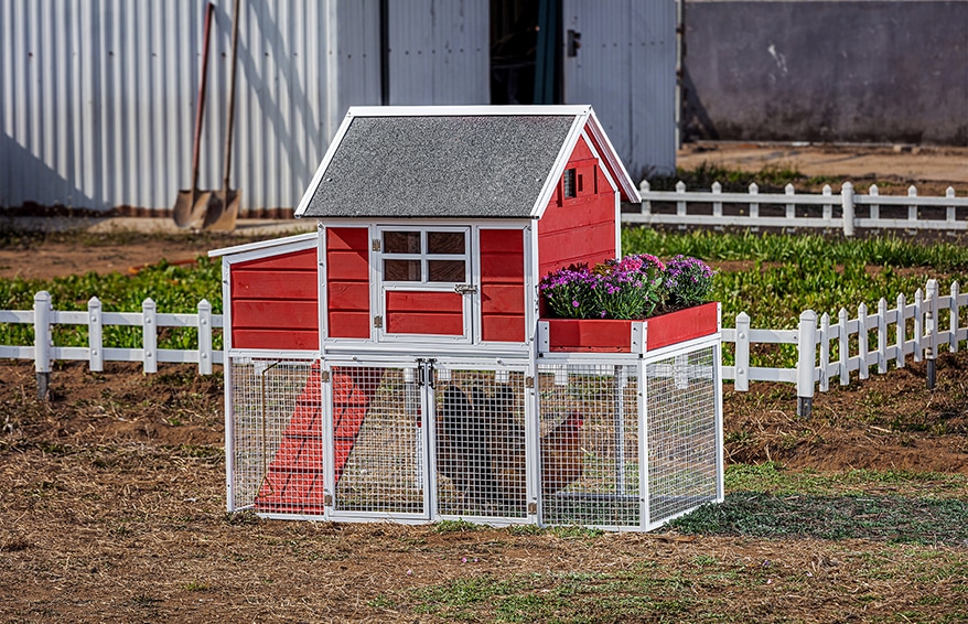 Win World International Trade LLC Introduces The Blooming Chicken Coop