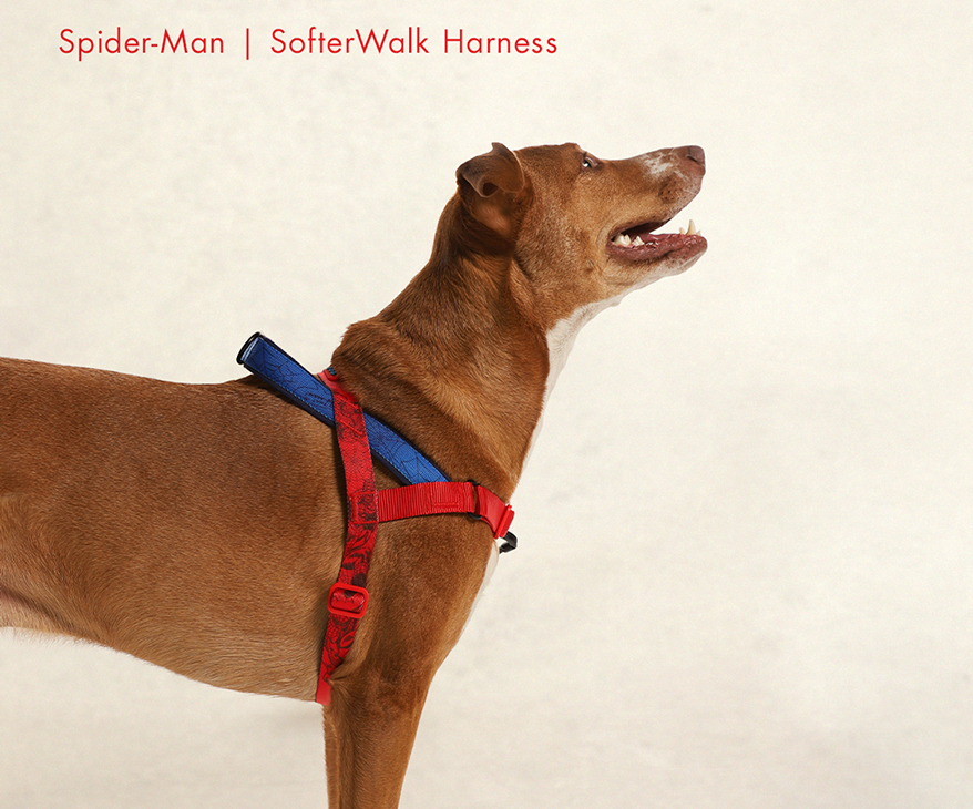 Zee.Dog Enters the Marvel Universe