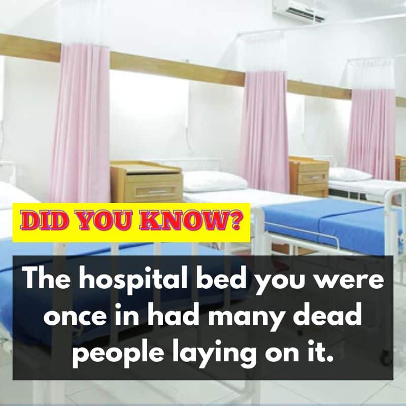 These Freaky Facts Prove That Nothing Is Ever as It Seems Page 54