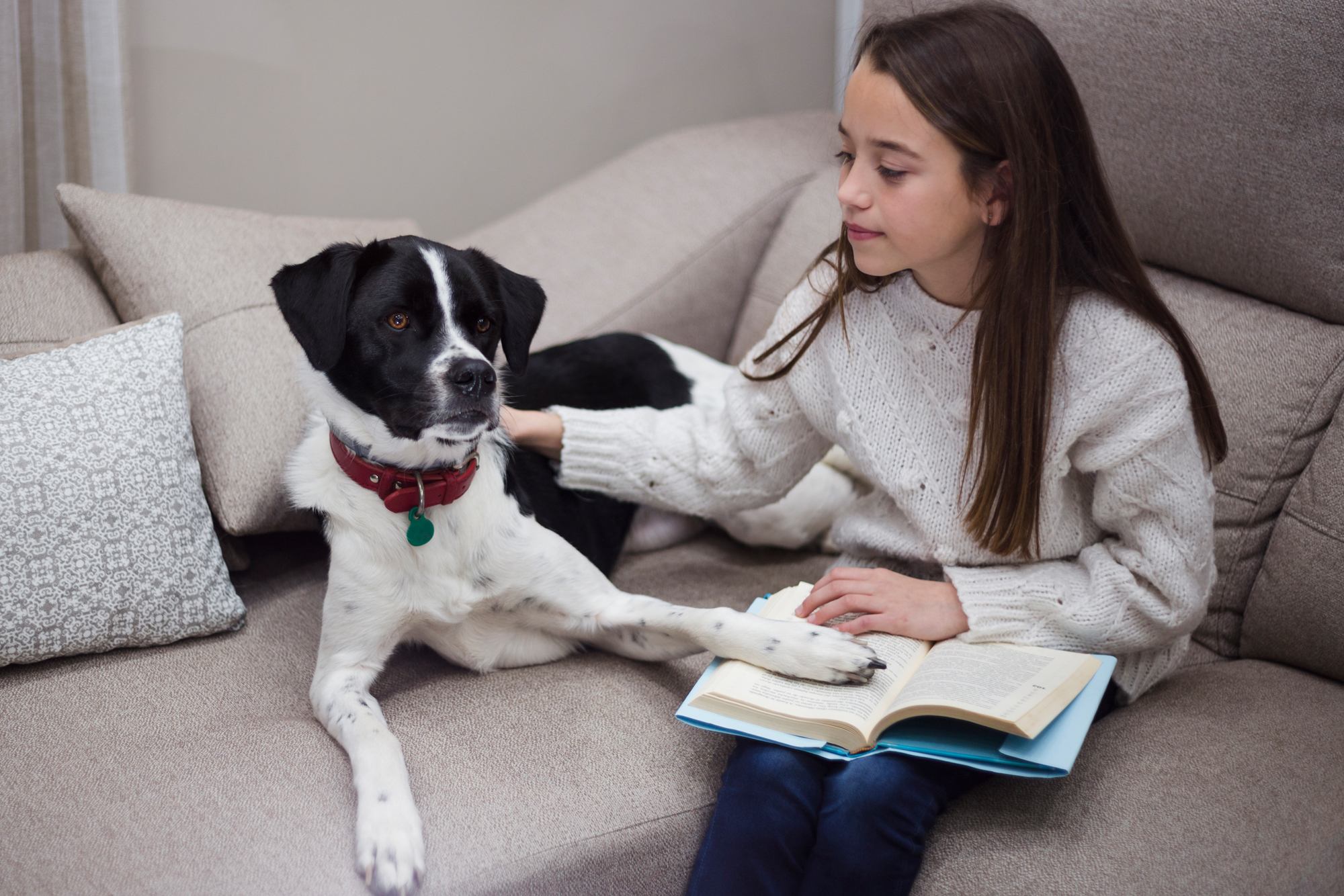 Children's Books To Help Deal With The Loss Of a Pet